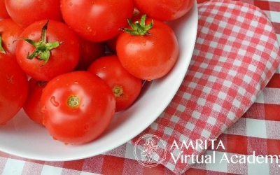 How To Grow Delicious Tomatoes, Part 2