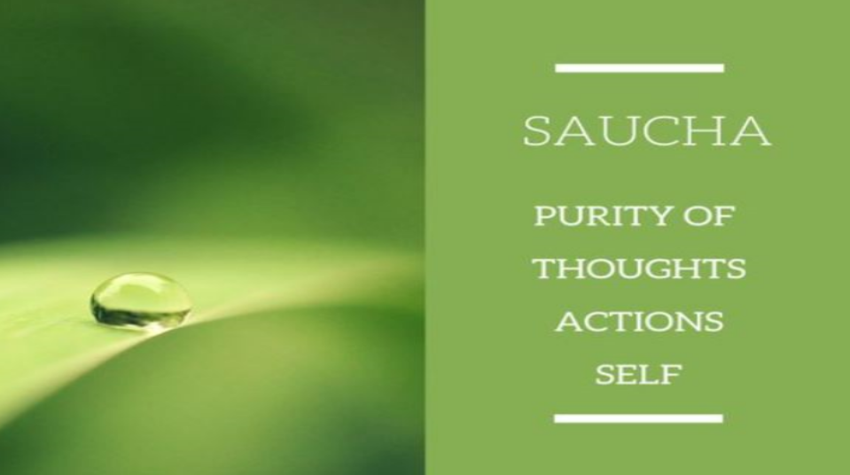 Saucha, purity