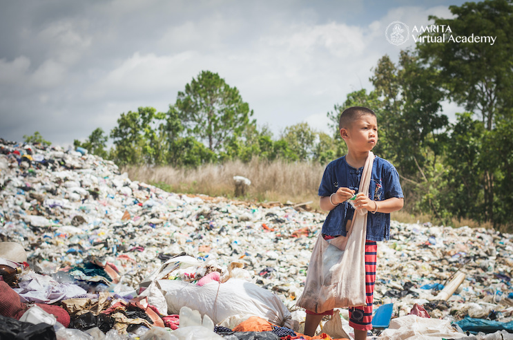 Serving Nature Through Civic Engagement